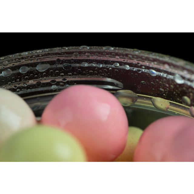 Spray d'appât Signature Sticky Baits