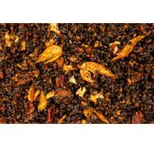 My Baits Mélange de chanvre et de sarrasin "Hot Gamba 'n Tuna"