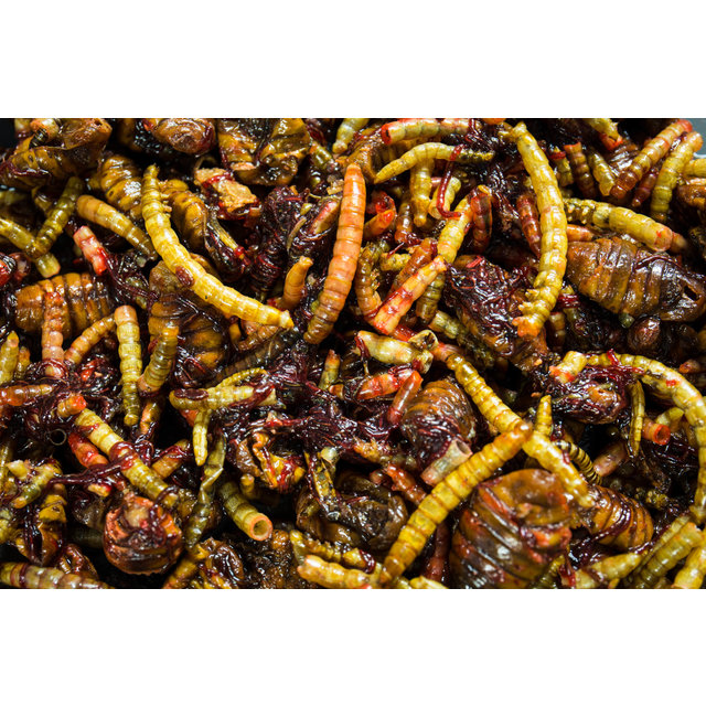 My Baits Macromix Wormageddon