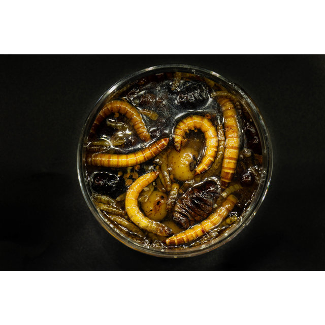 My Baits Hi-Natural Zwarte en Witte Tijgernoten "Wormageddon"