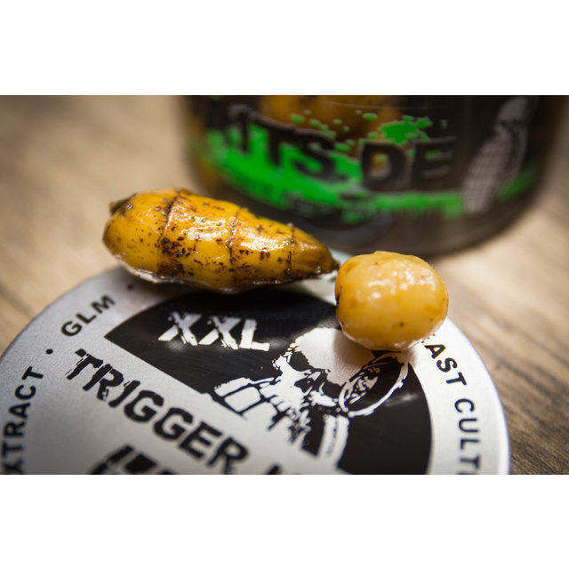 My Baits XXL Special Trigger Nuts / Edizione 2020 "Squid + Scopex"