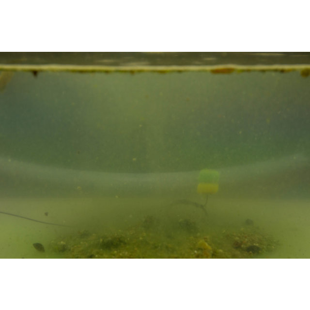 My Baits Active Stick Mix "Freaking-Insekt"