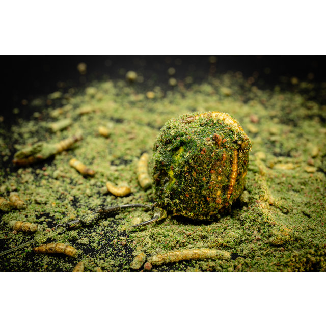 My Baits ALPHA Dip Fish-Insect