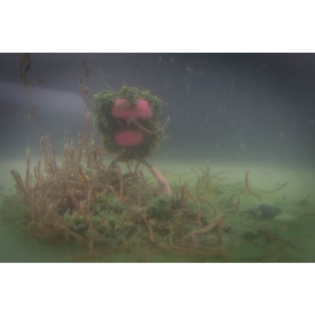 My Baits RingPull BloodWorms "Blood & Honor"