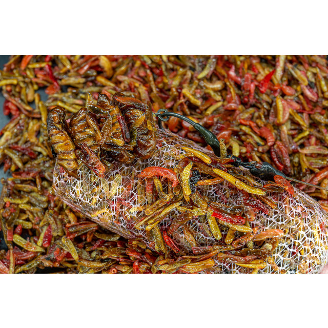 My Baits Micro Destruction Insects - PVA Friendly and Ready to Use