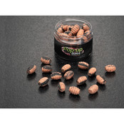 Pop Up Baits Larvas Robin Red Squid 18x13mm