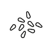 Boucle de lien Korda