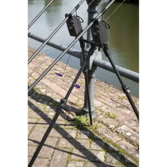 AVID CARP LOK DOWN 2 CANNES BUZZ POD 8INCH