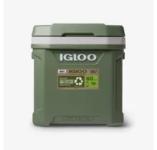 Rullo Igloo ECOCOOL 60 + Elementi refrigeranti In omaggio del valore di 20€