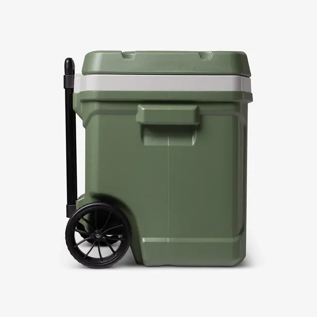 Rullo Igloo ECOCOOL 60 + Elementi refrigeranti In omaggio del valore di 20€