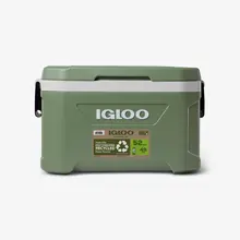 IGLOO ECOCOOL 52 + Elementos refrigerantes Gratis por valor de 20€
