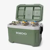 IGLOO ECOCOOL 52 + Kühlelemente Gratis im Wert von 20 €