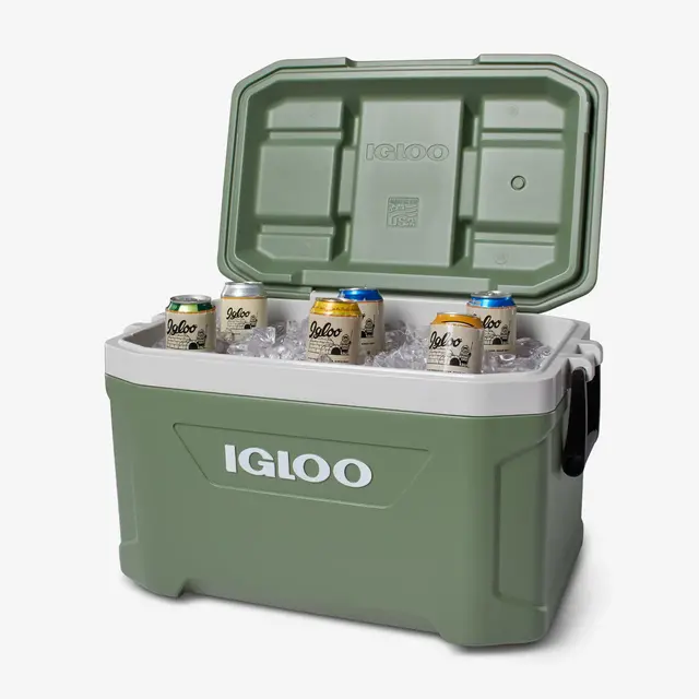 IGLOO ECOCOOL 52 + Elementos refrigerantes Gratis por valor de 20€