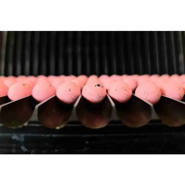 Pop-ups de calmars aux saveurs oubliées