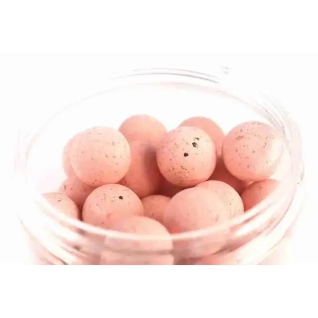 Forgotten Flavours Squid pop-ups