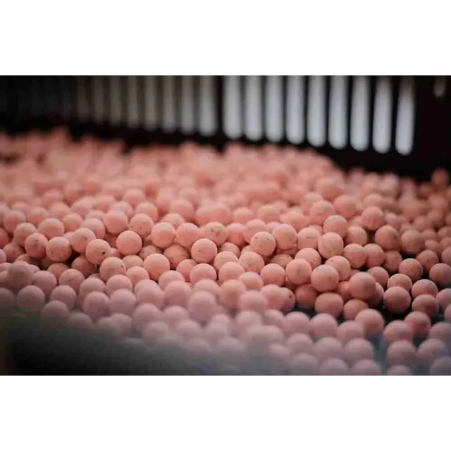 Pop-ups de calmars aux saveurs oubliées