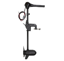 Motore Fox 100LB 24 volt BL Whisper