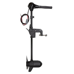 Motore Fox 100LB 24 volt BL Whisper