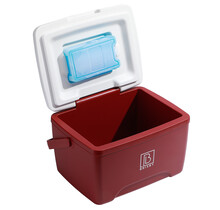 Nevera portátil Brisby de 8 litros, color rojo