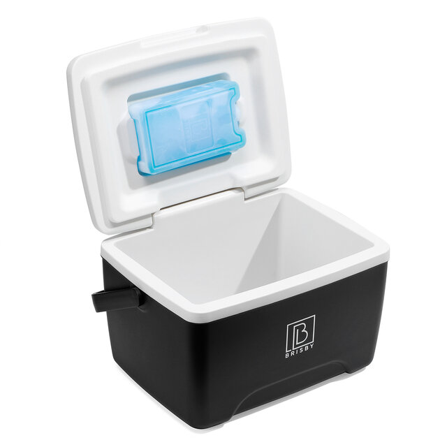 Brisby Frigo Box 8L Nero