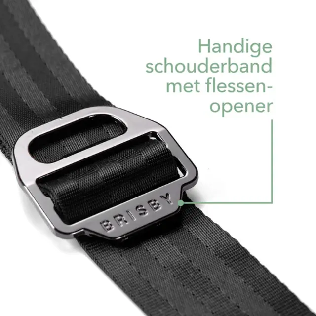 Brisby Koelbox 12L met draagband Blauw