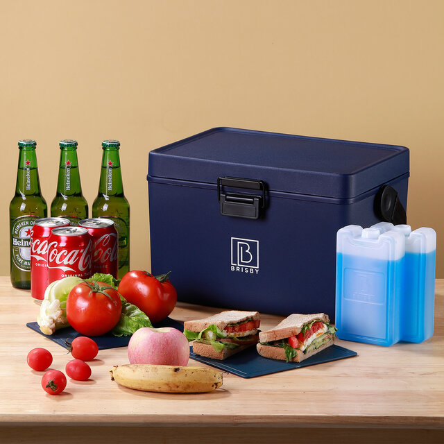 Brisby Cooler 12L with carrying strap Blue