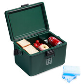Brisby Cooler 12L with carrying strap Green