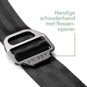 Brisby Koelbox 12L met draagband Roze