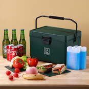 Brisby Koelbox 12L Groen