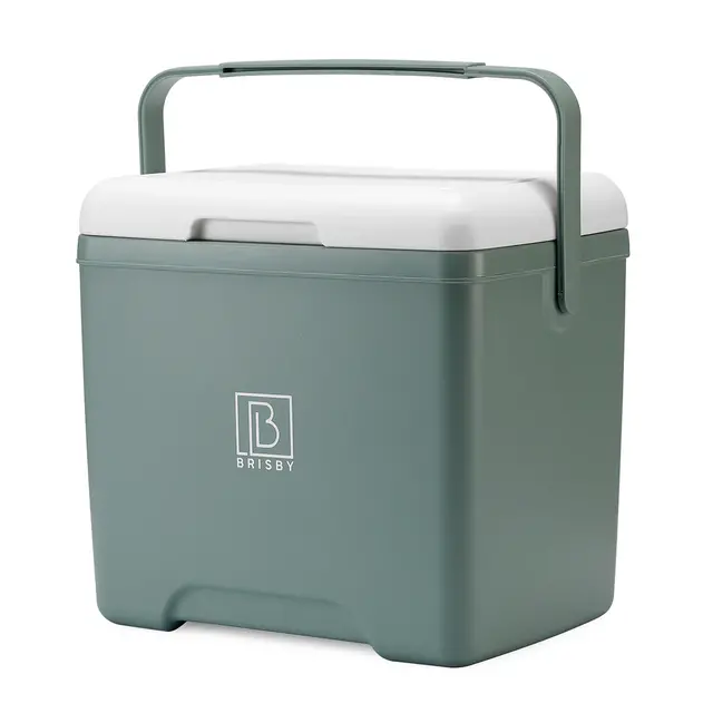 Brisby cool box 13 liters green