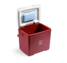 Nevera portátil Brisby 13 litros roja
