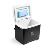 Borsa frigo Brisby 13 litri nera