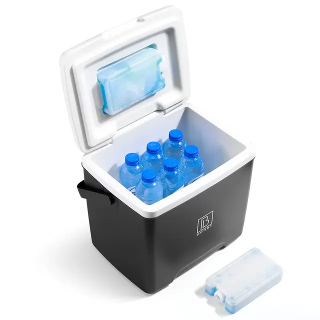 Glacière Brisby 13 litres noire