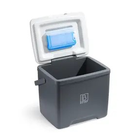 Glacière Brisby 13 litres grise