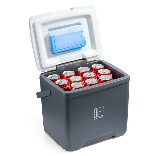 Glacière Brisby 13 litres grise