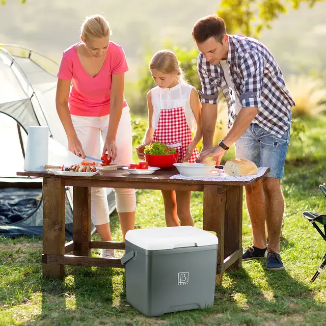 Brisby Kühlbox 13 Liter grau