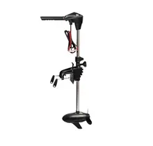 Motor eléctrico Rhino BLX 60 V2