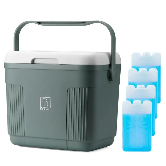 Brisby Kühlbox 22 Liter Grün