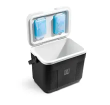 Brisby Cool Box 22 Liter Black