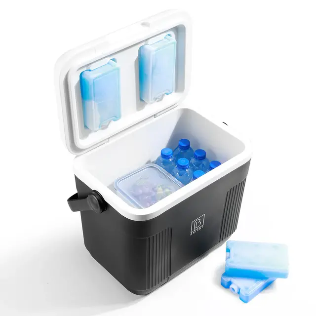 Brisby Cool Box 22 litri nero