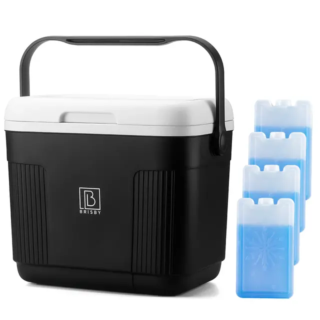 Glacière Brisby 22 litres noire