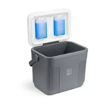 Brisby Kühlbox 22 Liter Grau