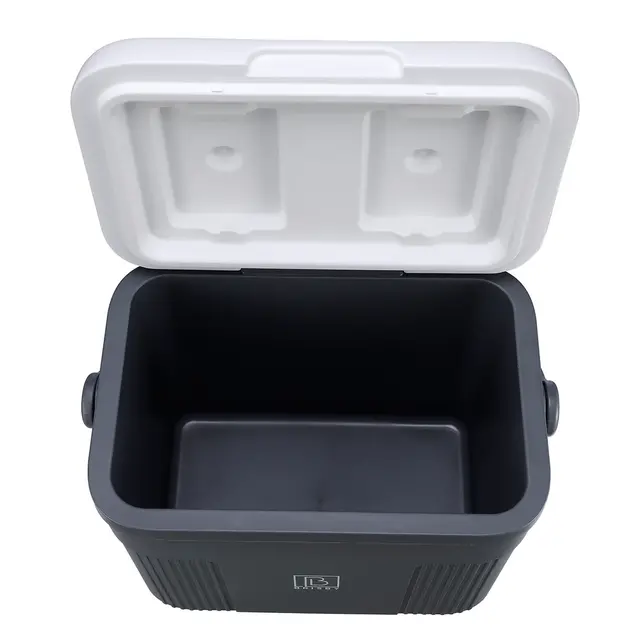 Brisby Cool Box 22 litri grigio