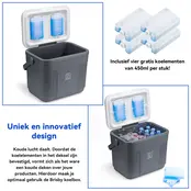 Glacière Brisby 22 litres grise