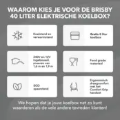 Nevera eléctrica Brisby de 40 litros, color gris