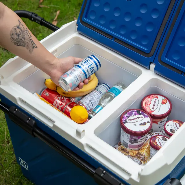 Refrigerador con compresor Brisby de 49,1 litros