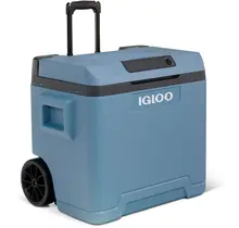 Raffrescatore termoelettrico IE42 AC/DC