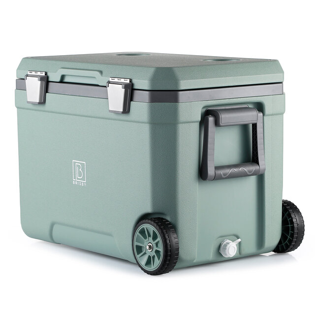 Brisby Cool Box 45L green