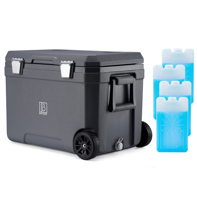 Nevera portátil Brisby de 45 l, color gris