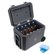 Brisby Koelbox  45L Grijs